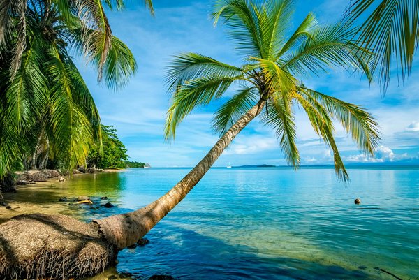 L'Odyssée en Caravane : Le Guide Incontournable pour Organiser Votre Aventure Road-Trip