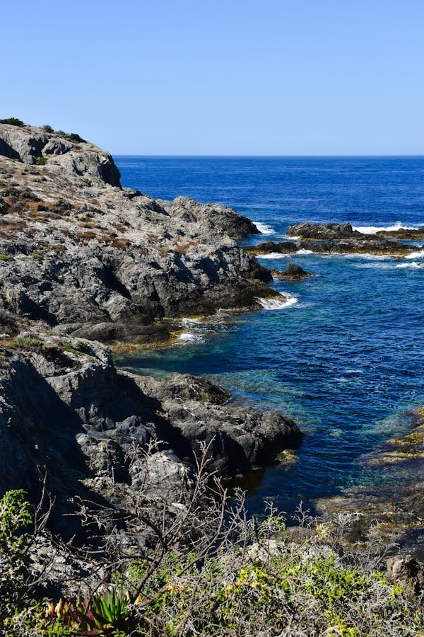 Les meilleures criques de Porquerolles à découvrir absolument